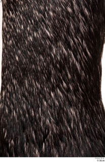  Double-crested cormorant Phalacrocorax auritus feathers neck 0001.jpg